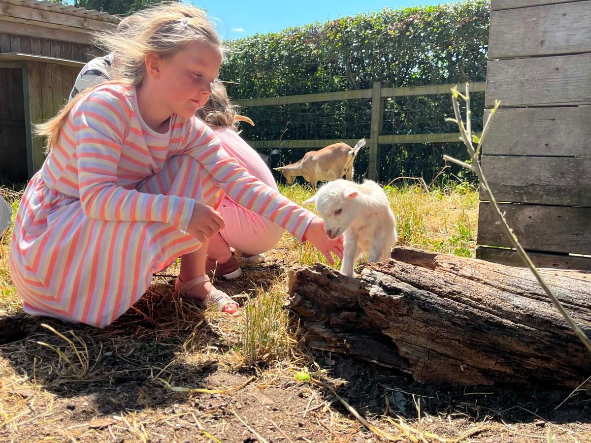 Barn hilser på gedekid