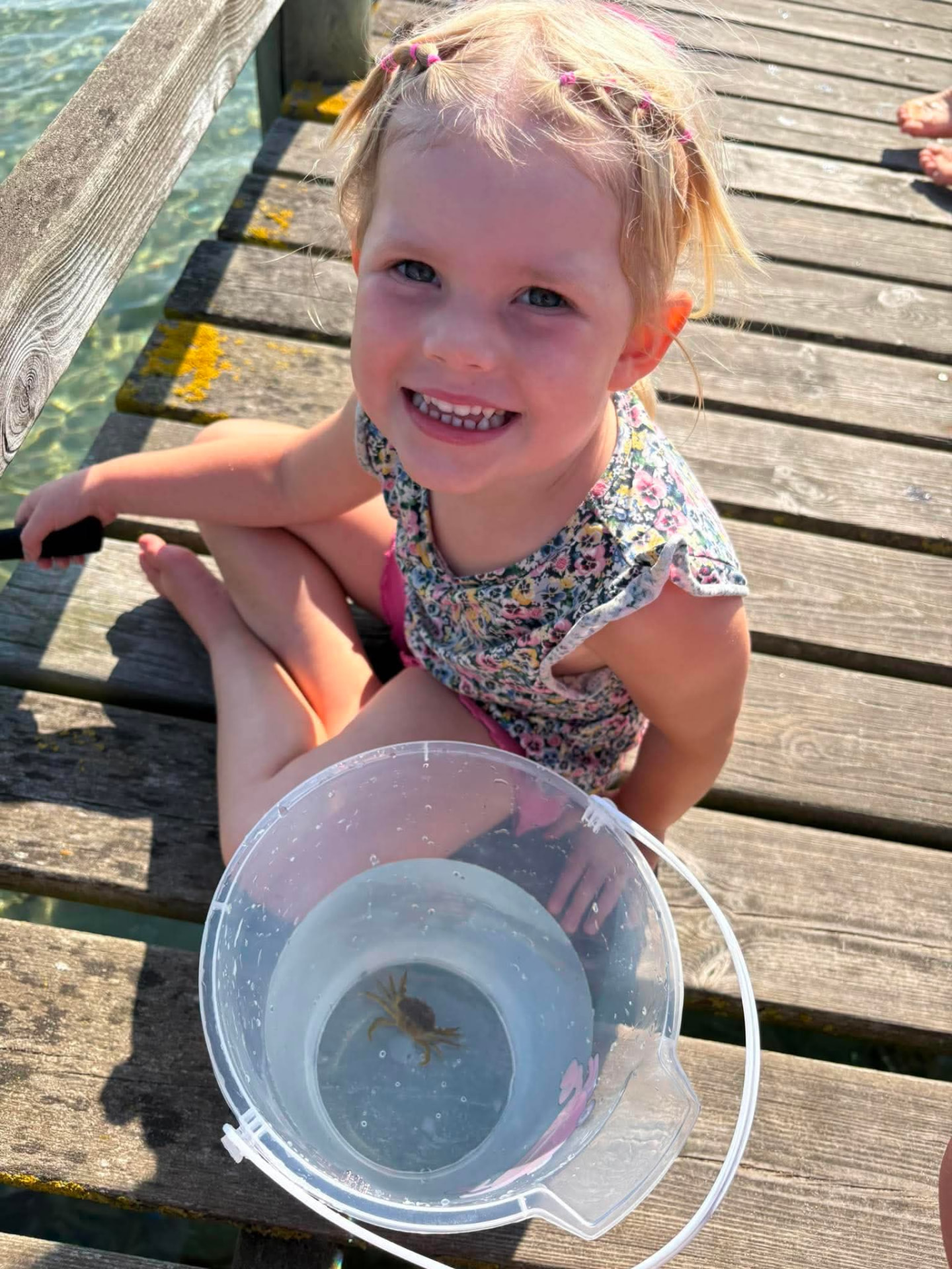 Pige med krabbe i spanden på badebroen