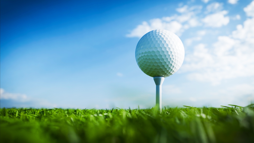 Brændeskovgård Golf