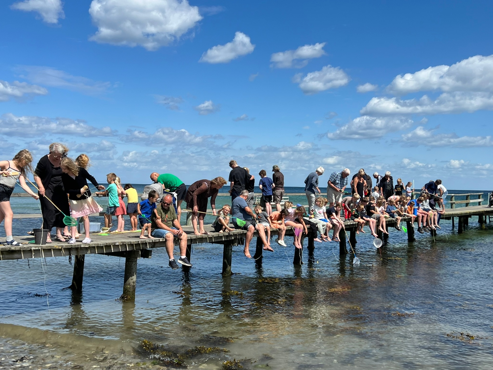 Krabbefiskeri på badebroen ved Kongshøj Strand Camping