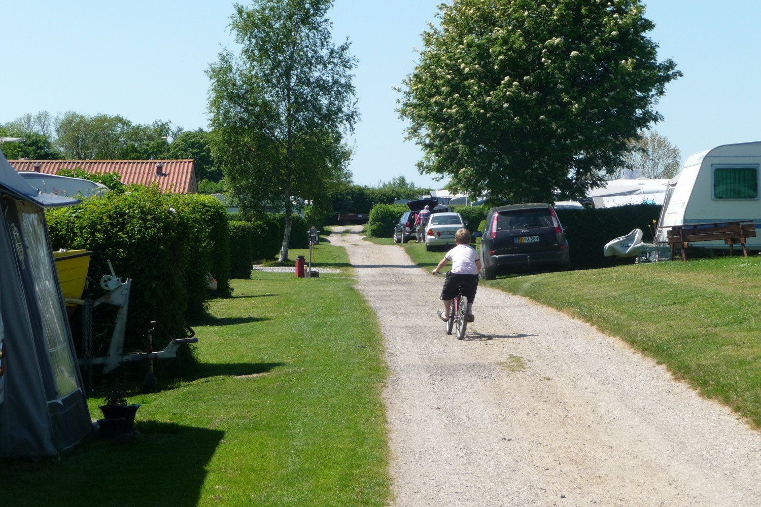 Dreng cykler på campingpladsens veje