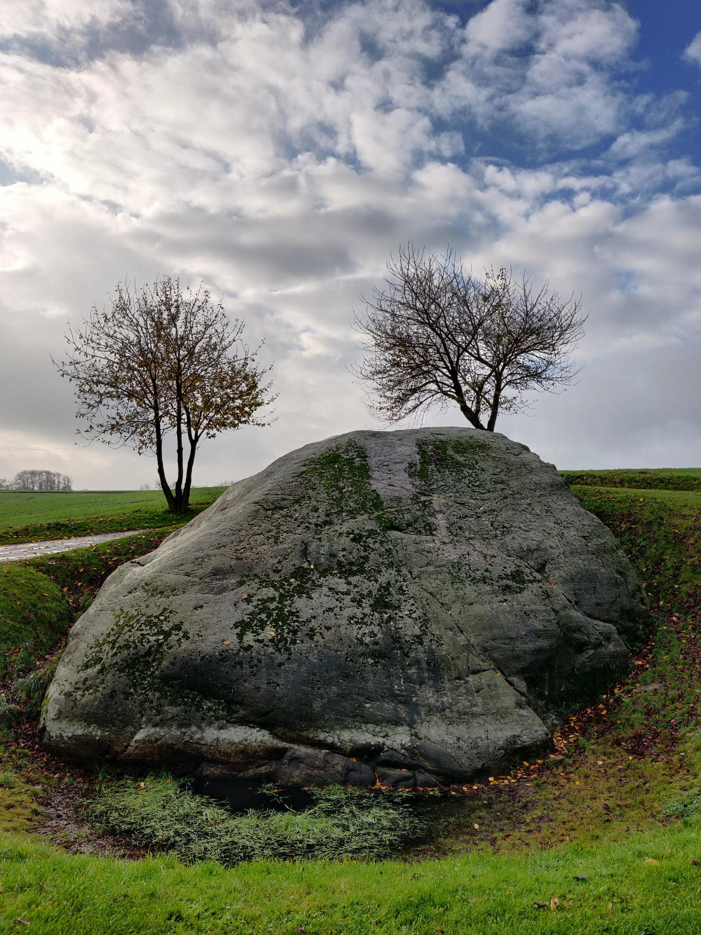 Damestenen